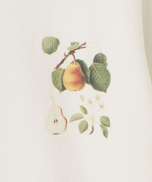 tシャツ History of Art | 「別注」プリントTシャツ FRUITS II WOMEN レディース Bshop｜History of Art | <別注>プリントTシャツ FRUITS II