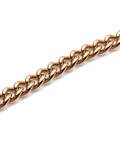 Daniel Wellington ネックレス Chunky Chain Necklace レー
