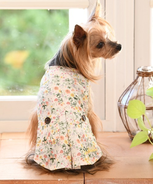 LAURA ASHLEY（ローラアシュレイ） 犬 服 LAURA ASHLEY/ポケット付き 