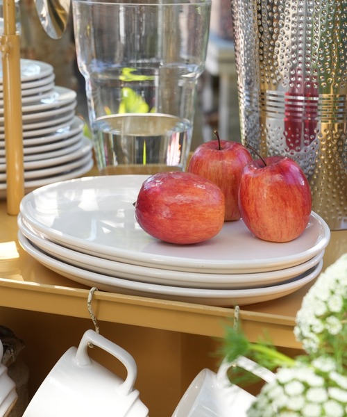 DULTON（ダルトン） 食器 LAND OVAL PLATE 350/ ランド オーバル