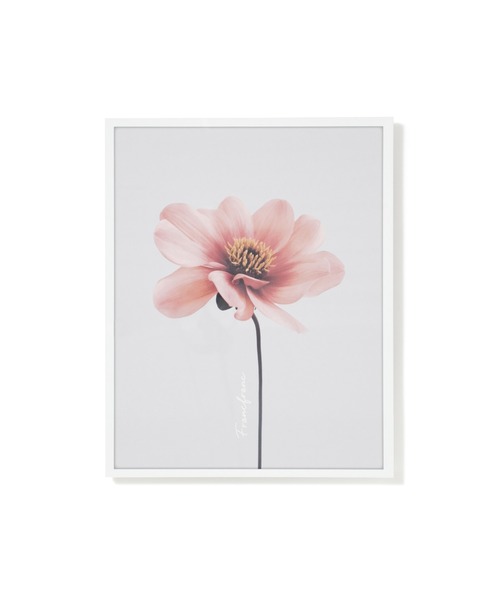 Francfranc（フランフラン） 家具 アート テーブル グラフィック