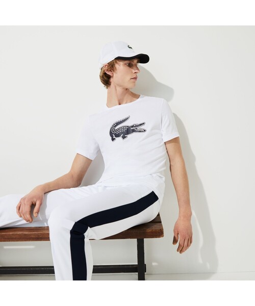 LACOSTE（ラコステ） tシャツ コットンブレンドウルトラドライロゴ