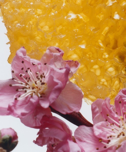 JO MALONE LONDON（ジョーマローンロンドン） 香水 ジョー マローン