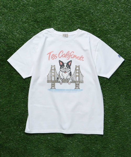 「The Endless Summer」 半袖Tシャツ LARGE ホワイト メンズ_画像2