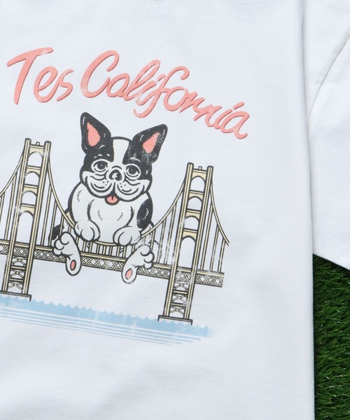 「The Endless Summer」 半袖Tシャツ LARGE ホワイト メンズ_画像3