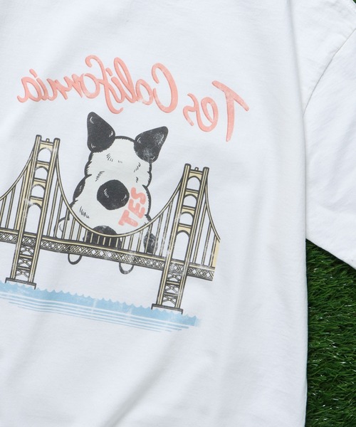 「The Endless Summer」 半袖Tシャツ LARGE ホワイト メンズ_画像6