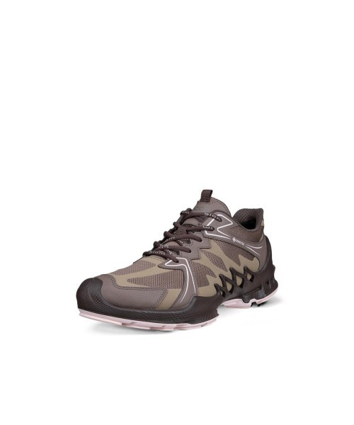 ecco（エコー） 革靴 フォーマルシューズ ECCO BIOM AEX レディース
