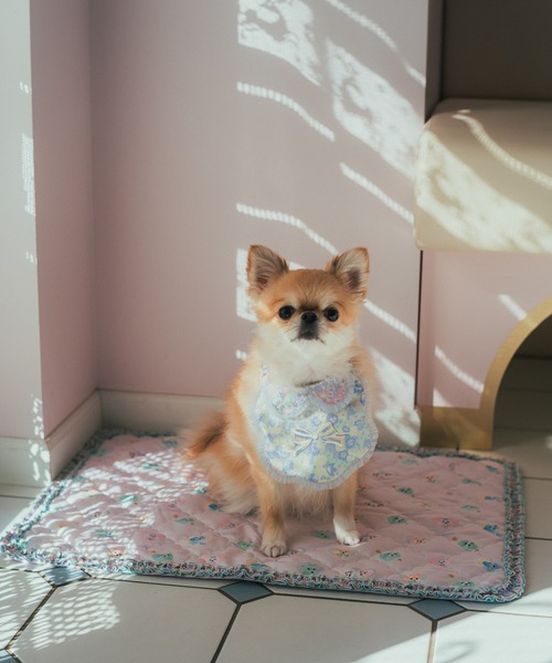 fafa（フェフェ） ペット マット IVY RAE|カフェマット : ZOZOTOWN