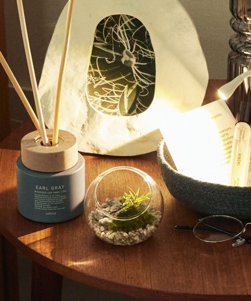 LAKOLE（ラコレ） インテリア プリザーブドモス(S) / 104687