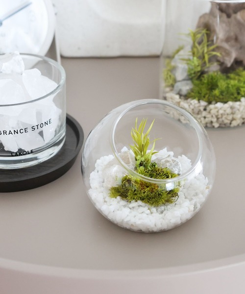 LAKOLE インテリア プリザーブドモス(S) / 104687 : ZOZOTOWN Yahoo!店