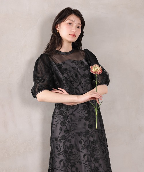 ドレス 刺繍レース ウェーブデザイン チュールバルーンスリーブ Aラインワンピースドレス パーティー 結婚式 お呼ばれ オケージョンの画像