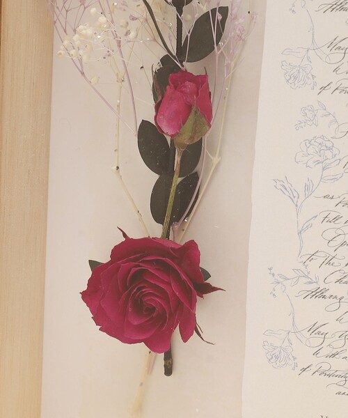 Thomas Cathey アートフレーム パリ サボンパッケージ 額絵 ローズ