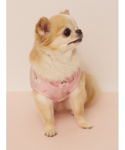 gelato pique（ジェラートピケ） 犬 服 「CAT＆DOG」「接触冷感