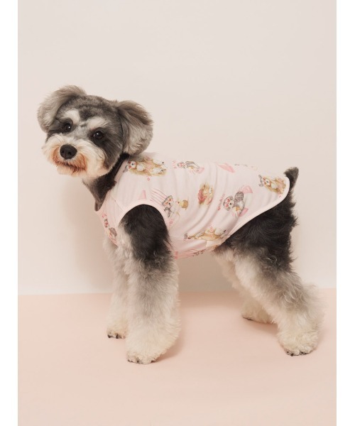 じゅのまま様☆犬服☆ハンドメイド✩.*˚ gelato pique（ジェラートピケ） 犬 服 「CAT＆DOG」「接触冷感