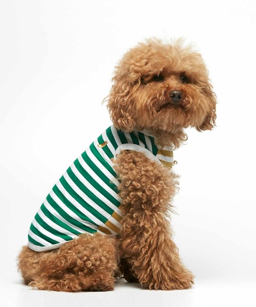 ペット服 犬 服 DANIEL ORGANIC COTTON DOG BODYSUIT : ZOZOTOWN Yahoo!店