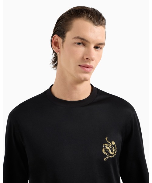 12D677-9 EMPORIO ARMANI エンポリオアルマーニ トップス EMPORIO ARMANI tシャツ 「エンポリオ アルマーニ」ASV セーター