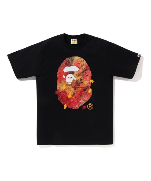 A BATHING APE（アベイシングエイプ） tシャツ JAPAN AUTUMN PHOTO APE
