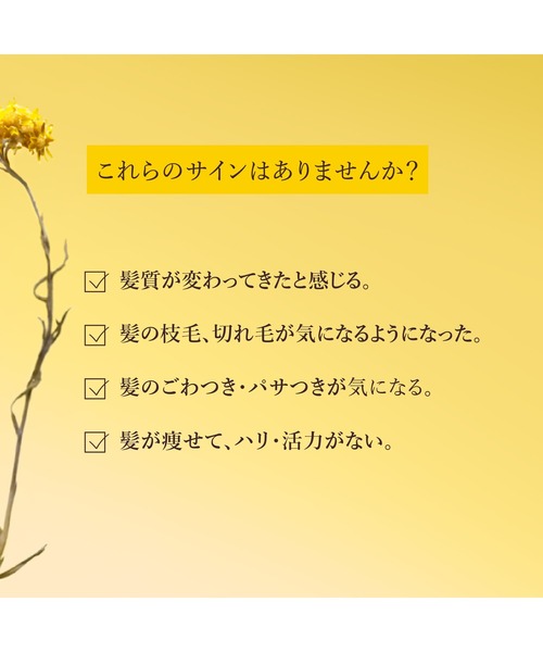 トリートメント ロクシタン l'occitane イモーテル プロユース アドバンストスカルプセラム 50mL エイジングケア 頭皮用美容液_3
