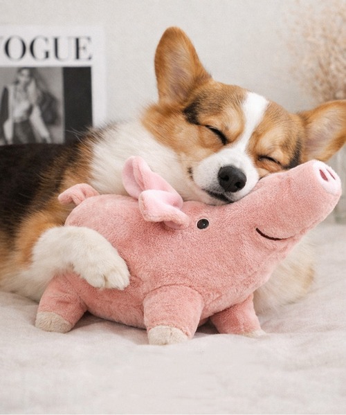 NOLITA LABORATORY 犬 おもちゃ 「 NOLITA / ノリータ 」犬用おもちゃ