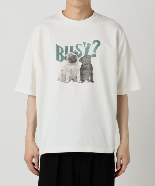 tシャツ PRINT BIG T-SHIRT(CAT) レディース メンズ NONTOKYO 】PRINT BIG T-SHIRT (CAT / WHITE) | A