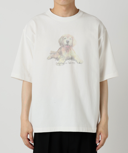 tシャツ PRINT BIG T-SHIRT(CAT) レディース メンズ Amazon.com: Catzilla Cat Japanese Art Funny Cat Gifts For