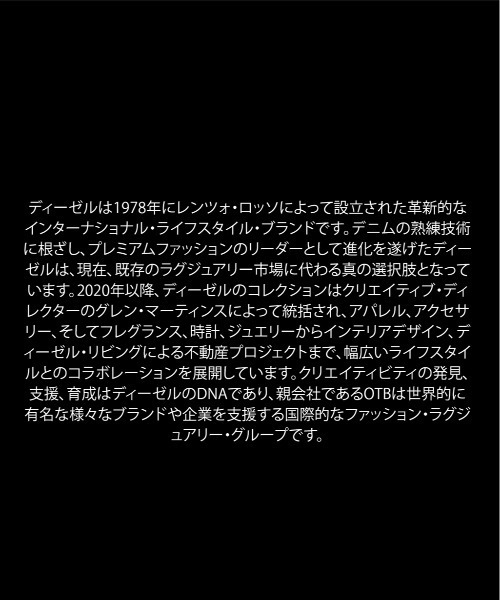 腕時計 ディーゼル 腕時計 メンズ アナログ ステンレス DZ2236 メンズの画像