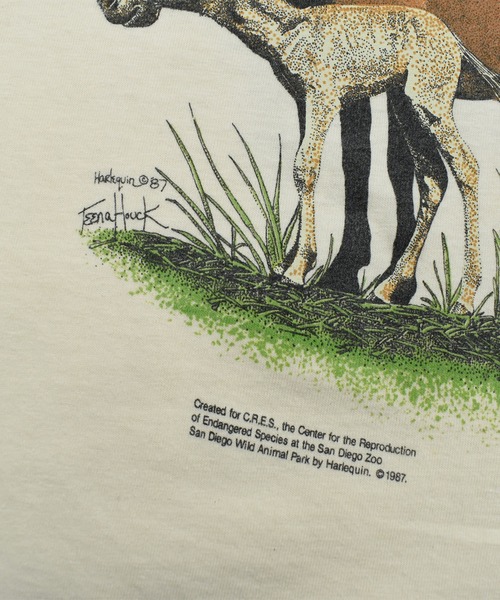 VINTAGE tシャツ 「USED」80's ONITA “San Diego Zoo” アニマル T