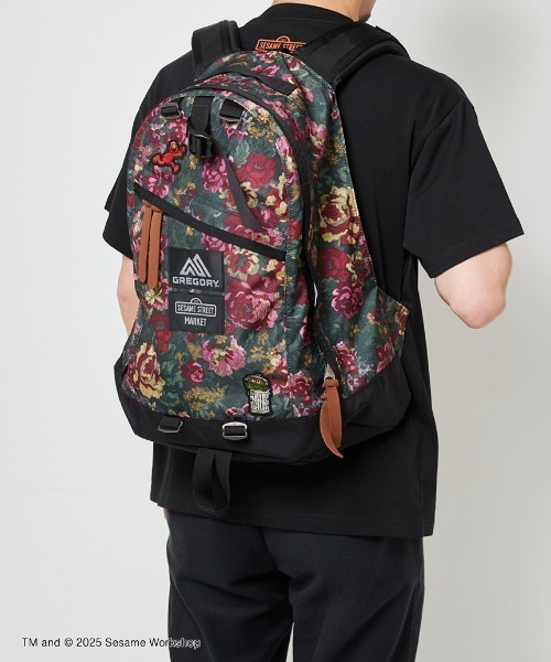 GREGORY カジュアルデイ　Garden Tapestry 旧ロゴ 美品 SESAME STREET デイバック リュック GREGORY×SESAME MARKET