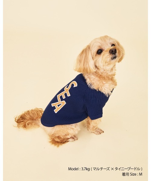 WIND AND SEA（ウィンダンシー） 犬 服 DOG SEA PATCH SWEATER