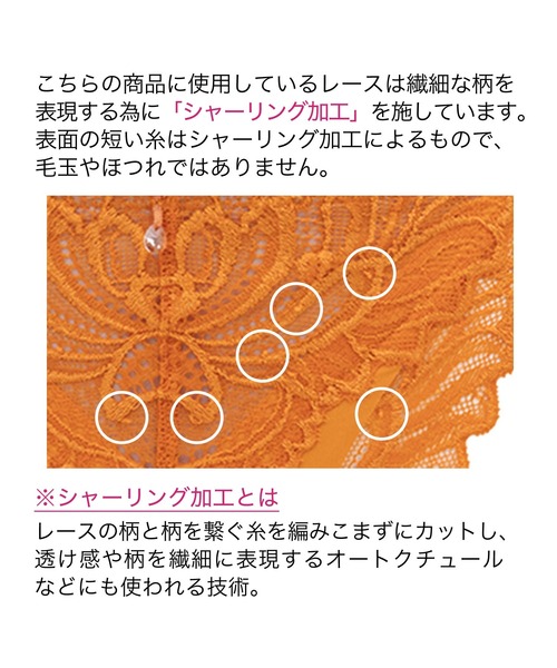 BRADELIS NewYork（ブラデリスニューヨーク） ショーツ サポートバック