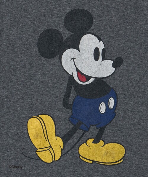 JACKSON MATISSE（ジャクソンマティス） tシャツ 半袖 「別注