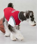 犬 服 「リンク」「DOG」「接触冷感」ユニフォームの詳細画像2