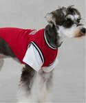 犬 服 「リンク」「DOG」「接触冷感」ユニフォームの詳細画像3