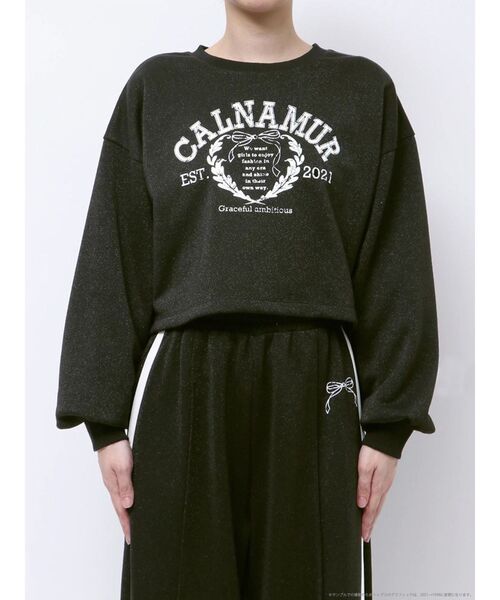 トレーナー/スウェット RIB COLLAR SWEAT Vintage Half Zip Rib Collar Sweatshirt［25AAP-05-07］【2025AW