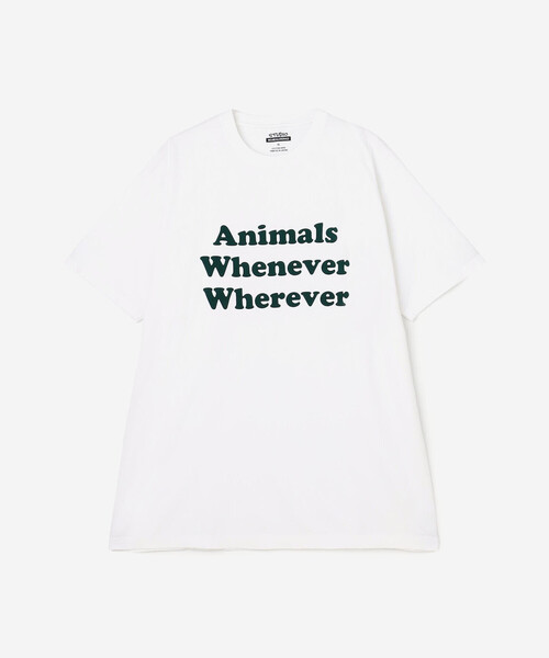 APSTUDIO STUDIO WEAREALLANIMALS Tシャツ 予約》【STUDIO WEAREALLANIMALS】This Is Not Tsh（Tシャツ