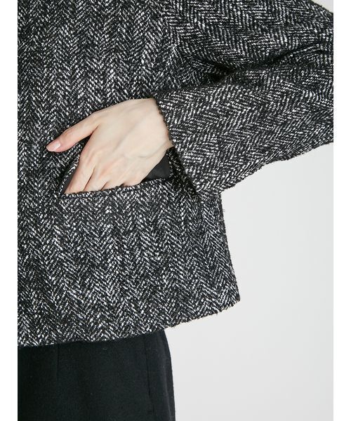 CELFORD（セルフォード） ブルゾン アウター ステンカラーショート