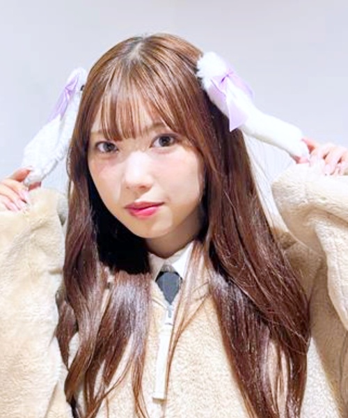 イワサキヒメハルゼミペア標本 イワサキゼミ／雄雌ペア 飛翔 , タグ「昆虫」 , 蝶の標本 販売・通販の