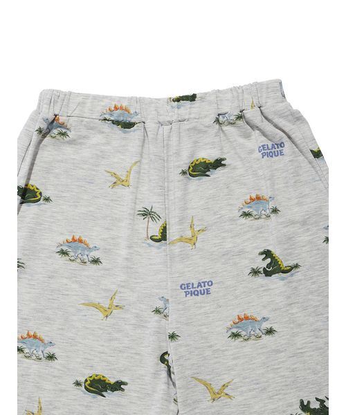 パジャマ 「JUNIOR」「接触冷感」スリーピングダイナソーTシャツ＆柄ショートパンツセット キッズ 子供の画像