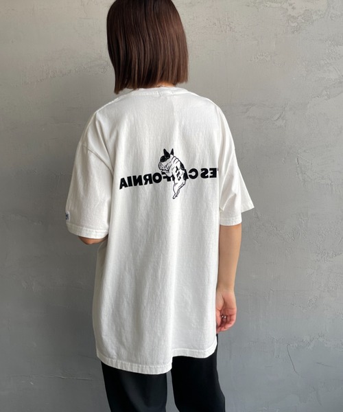 tシャツ 「THE ENDLESS SUMMER/エンドレスサマー」 別注 TES CAL フロッキーロゴプリント カットオフTシャツ レディース The Endless Summer tシャツ 「THE ENDLESS SUMMER/エンドレス