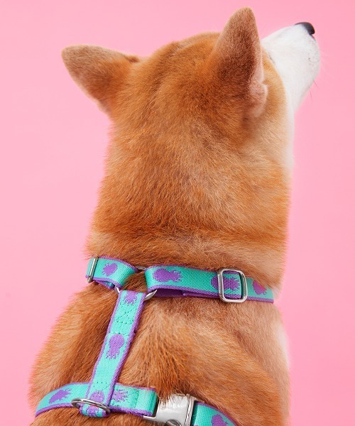 MMCHOKK 犬 ハーネス リード ジャカードウェビングチェストハーネス