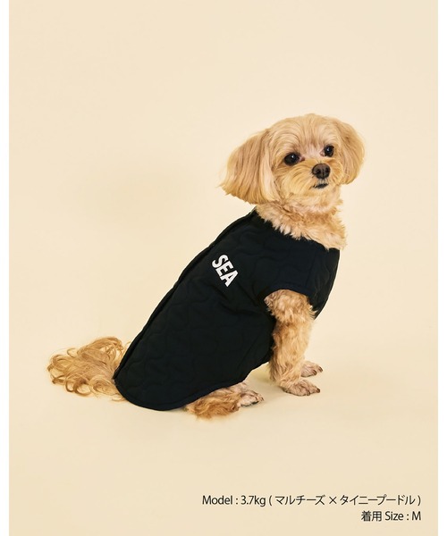 WIND AND SEA（ウィンダンシー） 犬 服 DOG QULITING OUTER : ZOZOTOWN