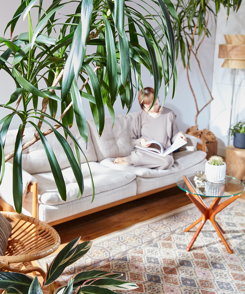 ACME Furniture ラグ ラグマット GLENOAKS RUG 200x250 グレン