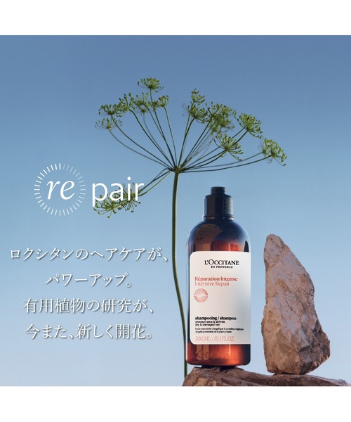 L'OCCITANE シャンプー ロクシタン l'occitane インテンシヴ