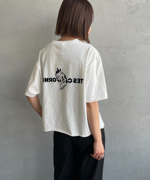 The Endless Summer tシャツ 「THE ENDLESS SUMMER/エンドレス