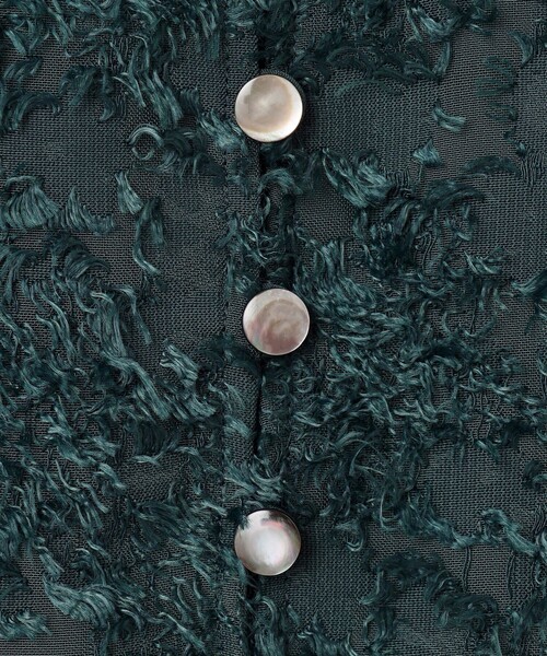 ブラウス シャツ 「洗える」シアーカットジャカード レディース