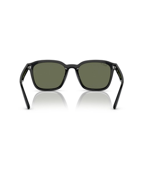 Ray-Ban（レイバン） サングラス サングラス Dmodels 0RB4392D (偏光