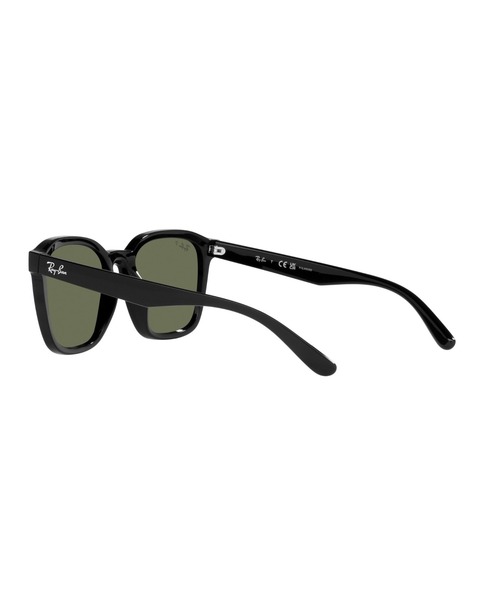 サングラス Ray-Ban レイバン サングラス Dmodels 0RB4392D (偏光レンズ・アジアンデザインモデル・ローブリッジフィット)の画像