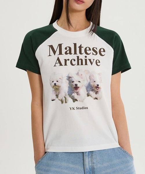 【WAI KEI】★男女兼用★MLTS ラグラン スウェットシャツ WaiKei tシャツ 「UNISEX」Wai Kei/マルチーズラグランT メンズ
