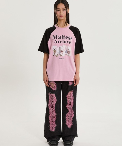 WaiKei tシャツ 「UNISEX」Wai Kei／マルチーズラグランT メンズ