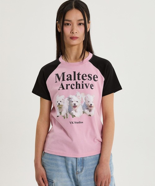 WaiKei tシャツ 「UNISEX」Wai Kei／マルチーズラグランT メンズ